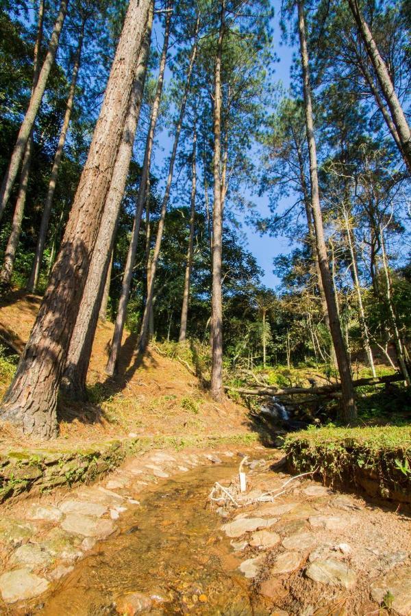 Villaggio Serra Da Cantareira Mairiporã エクステリア 写真